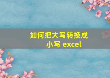 如何把大写转换成小写 excel